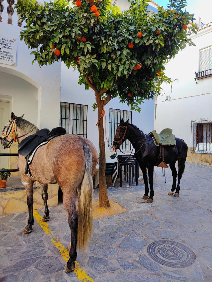 Modern, Bright And Comfortable Apartment With Shared Roof Terrace Canillas de Aceituno Luaran gambar